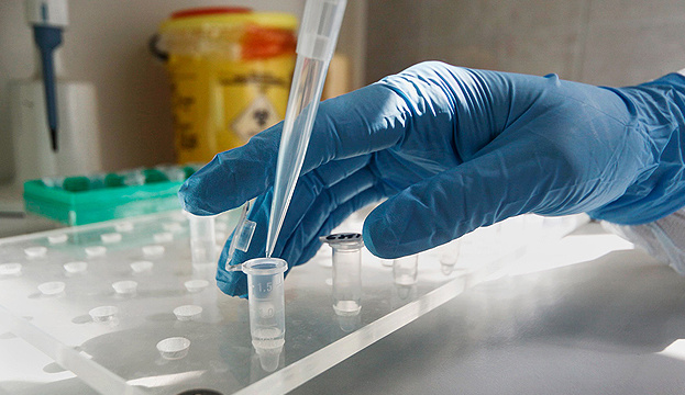 Більше трьох мільйонів в день: стало відомо скільки заробляють українські лабораторії на ПЛР-тестах