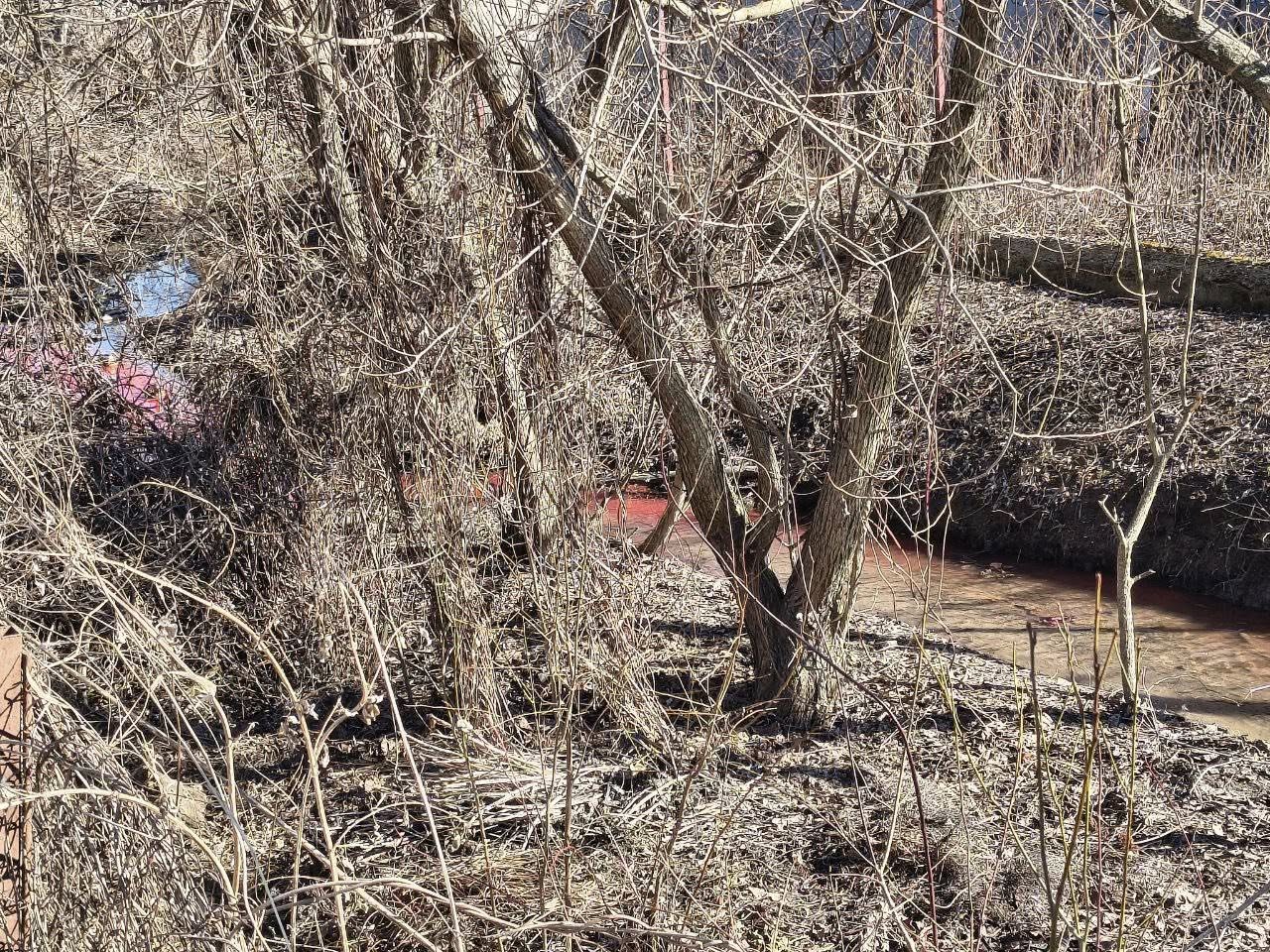 У Вінниці оштрафували чоловіка за злив крові тварин у річку