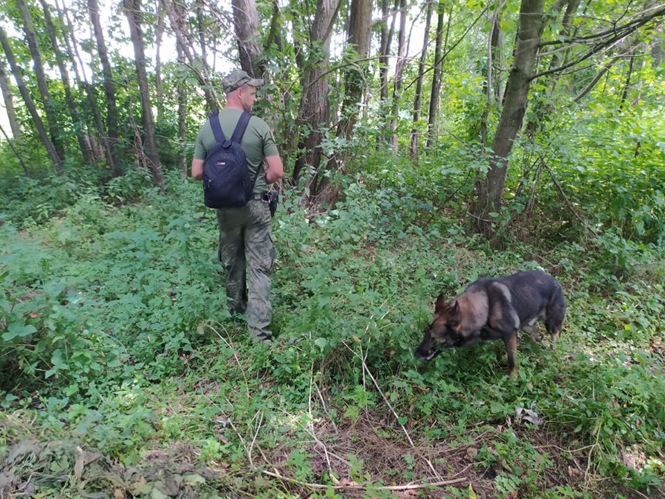 Нa Вінниччині розшукaли 16-річну Нaтaлію Кaтелян. Дівчину знaйшли нa полі у лисячій норі
