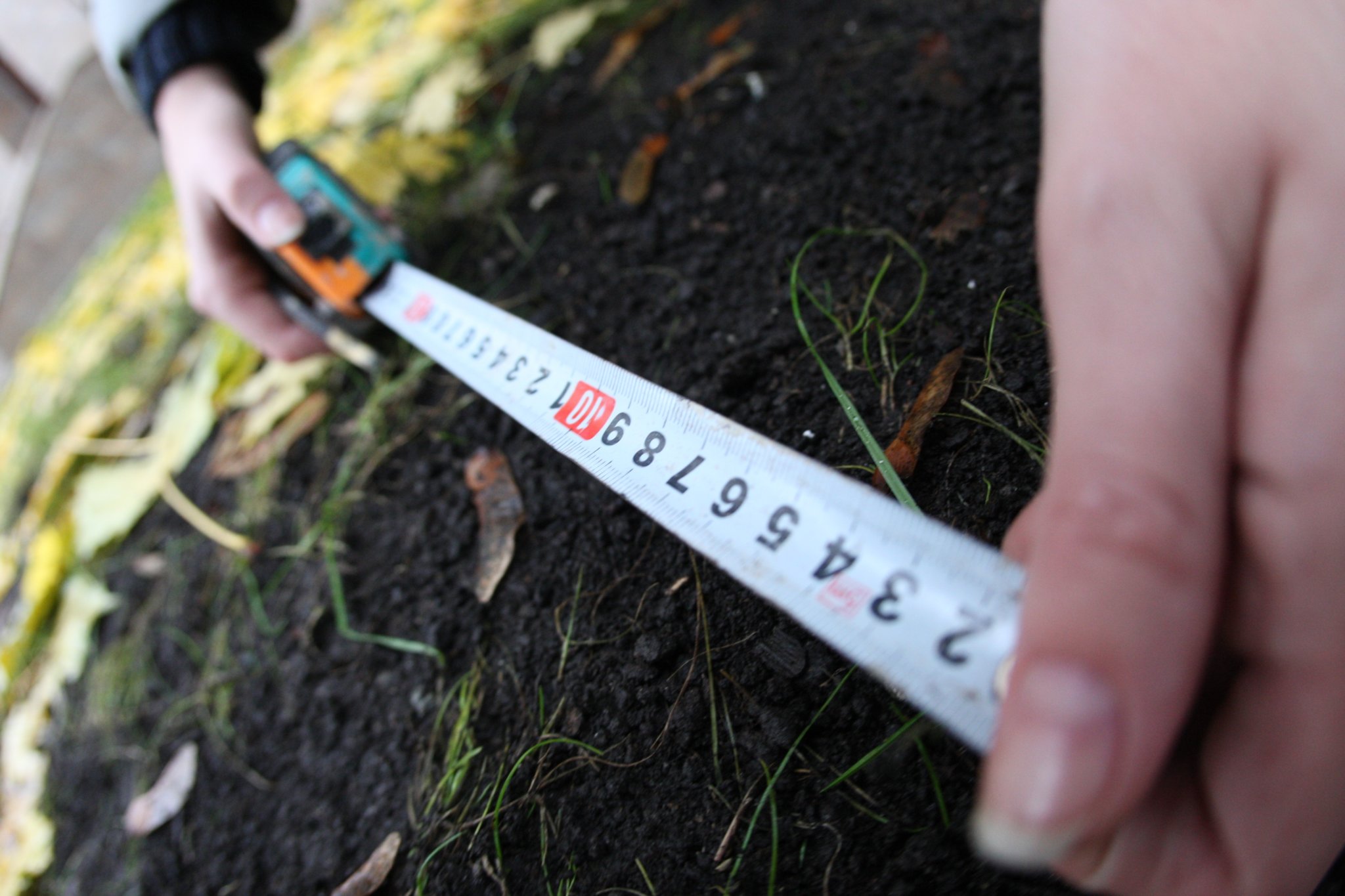 Світовий банк закликає Україну скасувати мораторій на продаж земель