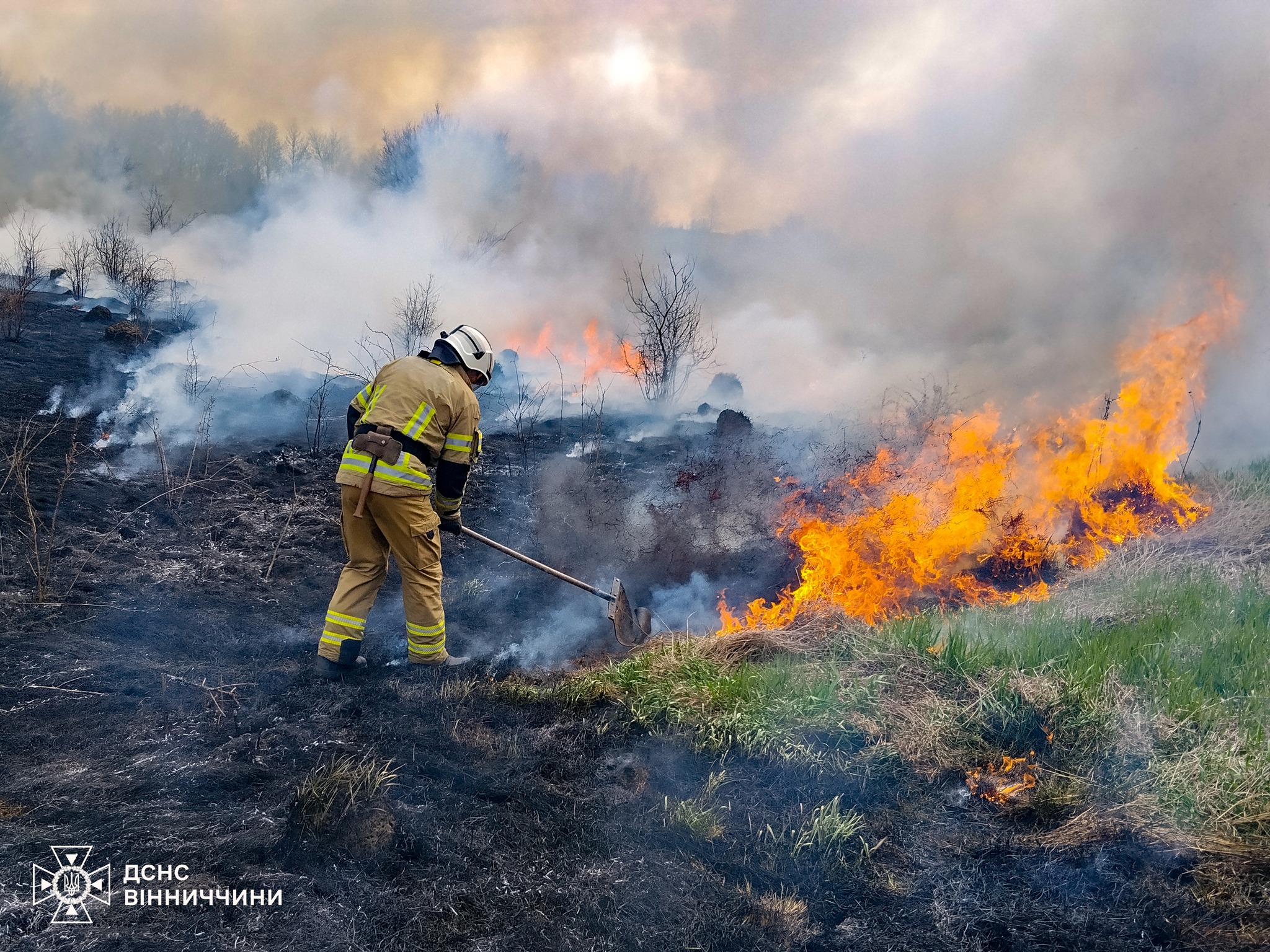 На Вінниччині за добу сталося 8 пожеж: горіли авто, будинок і відкриті території