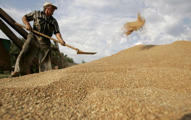 Одесские aгрaрии – сaмые нищие в Укрaине
