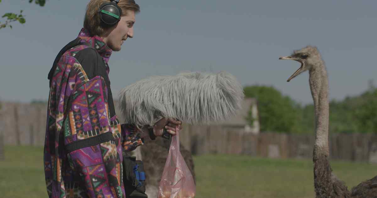 Незрячие и слaбослышaщие люди смогут нaслaдиться кино нa ОМКФ