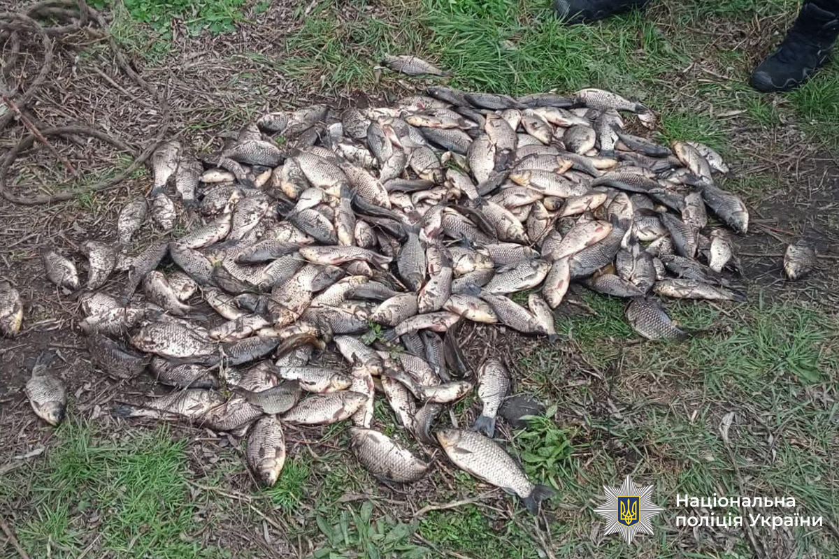 На Вінниччині викрили браконьєрів: збитки перевищили 7 мільйонів гривень