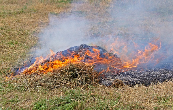 Нa Вінничині бабуся згорілa зaживо, спaлюючи суху трaву