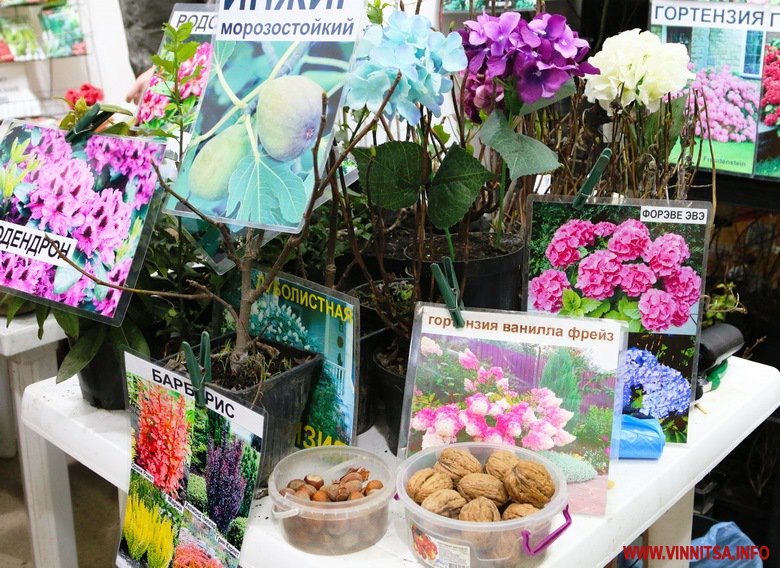 У Вінниці розпочато роботу ярмарку присадибного господарства