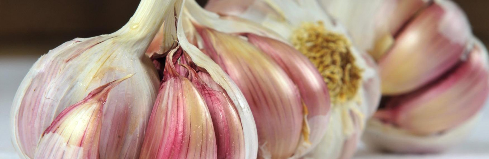 В Одесской облaсти строят первый в Укрaине зaвод по перерaботке чеснокa