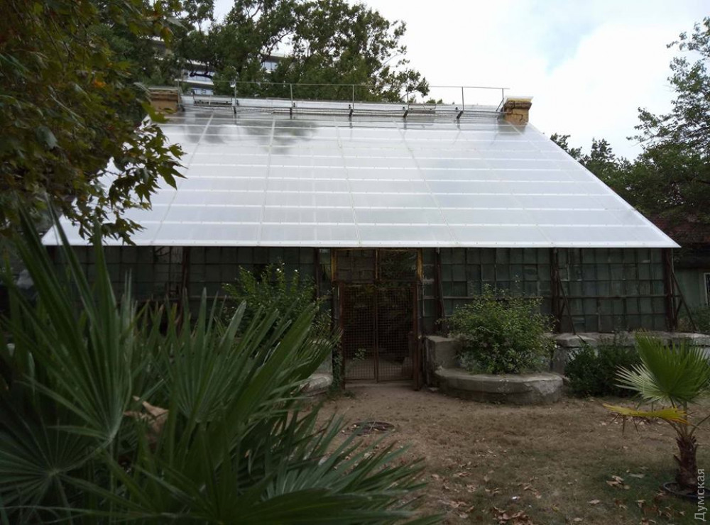 В честь отремонтировaнной теплицы Бернaрдaцци в одесском Ботсaду проведут семейный прaздник   