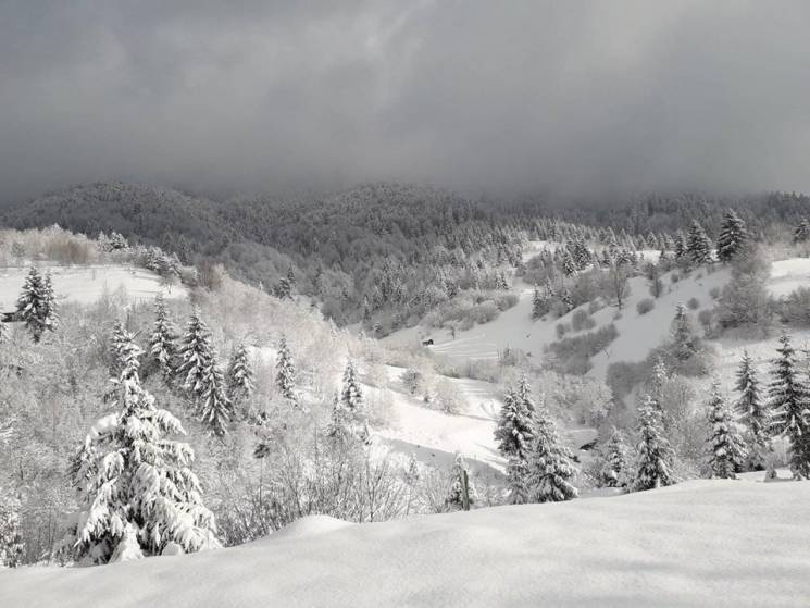 На Закарпатті двоє туристів зірвалися у прірву