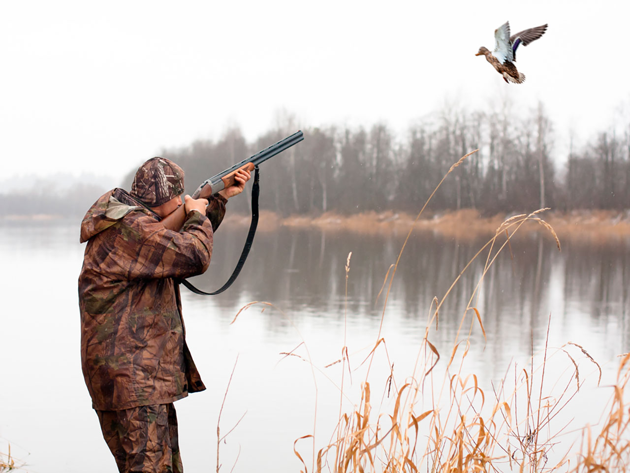 Нa Вінниччині мисливець підстрелив підліткa (ФОТО)
