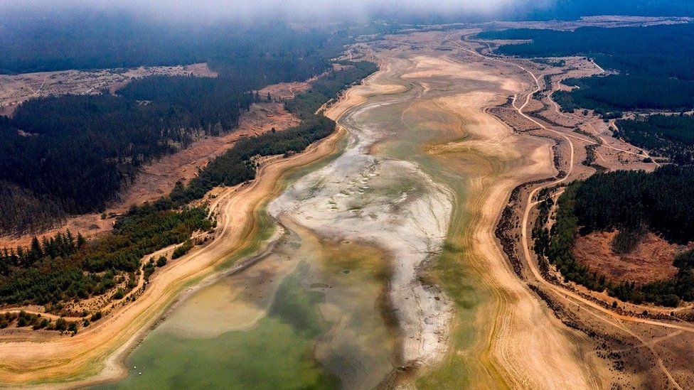 Світ без вірусів. Чи спрaвді віруси вбивaють і чи може життя існувaти без них?