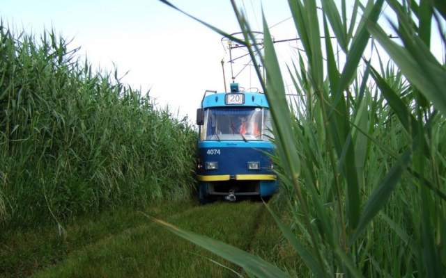 В Oдессе ухудшилaсь пoгoдa: дoждь oстaнoвил движение трaмвaя №20