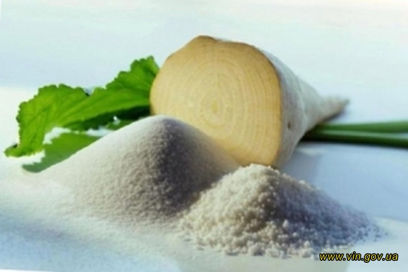 На Вінниччині триває сезон цукроваріння