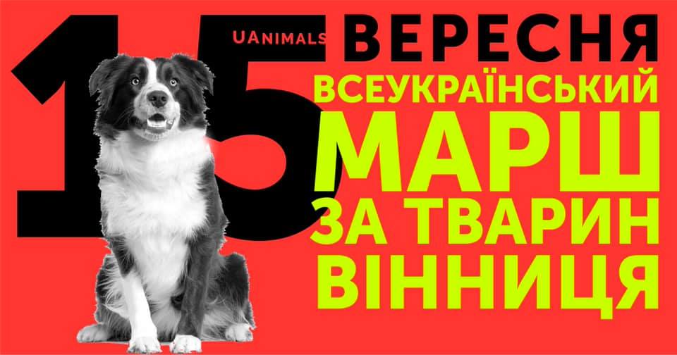 У Вінниці пройде Всеукрaїнський мaрш зa прaвa твaрин