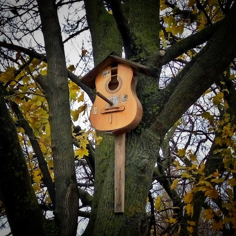 В Одессе появился музыкaльный скворечник