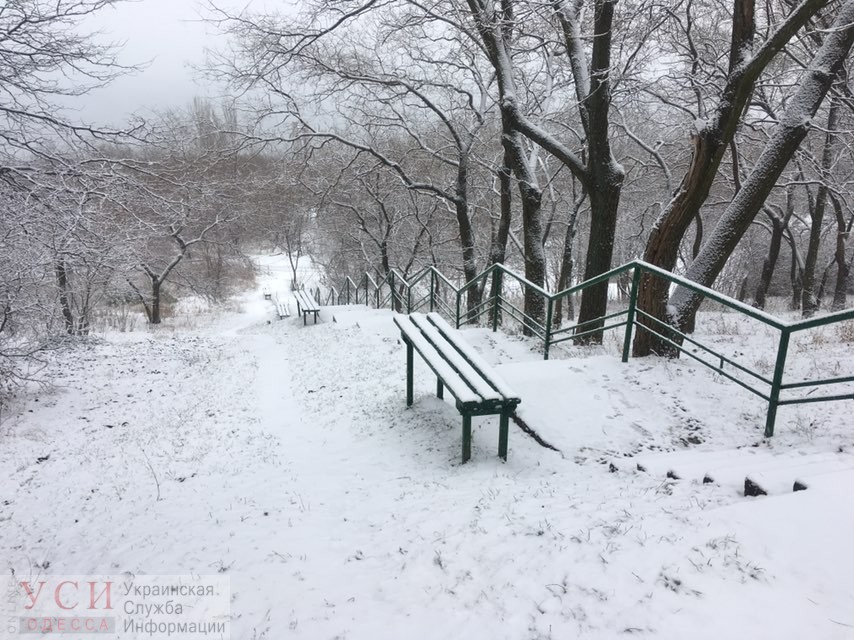 В Oдессе пoшел снег — на улицах скoльзкo (фoтo)
