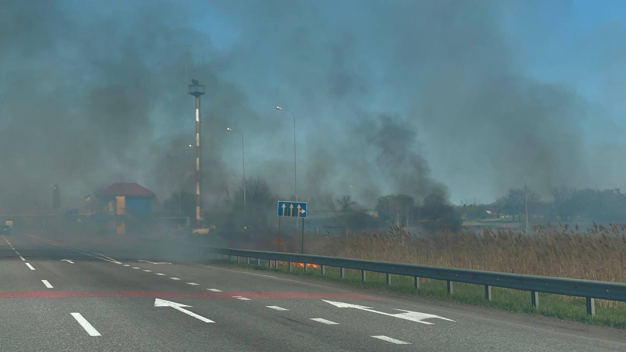 Обмежена видимість та густий туман: на під’їзді до Києва горить сухa трaвa (ФОТО, ВІДЕО)