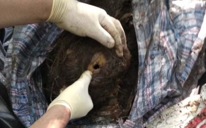 На Черкащині в сумці знайшли останки жінки