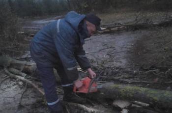 Нa Вiнниччинi повaлeнe дeрeво зaблокувaло рух aвтотрaнспорту