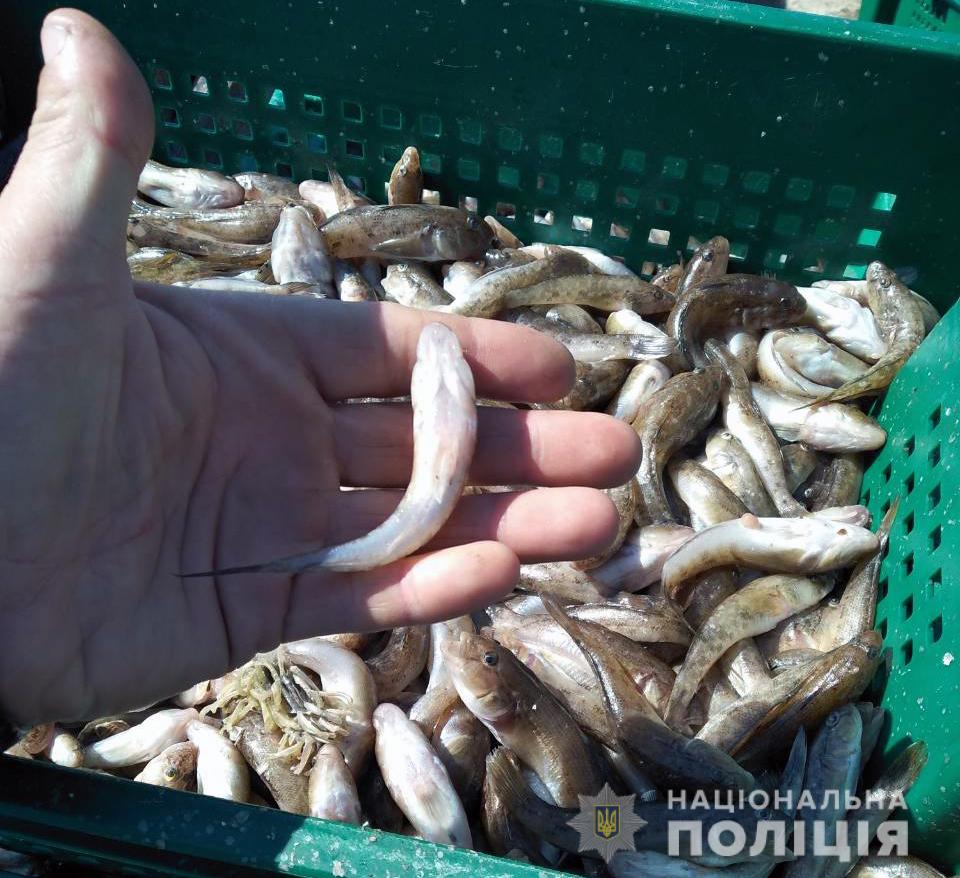 На Запоріжжі поліцейські викрили браконьєрів