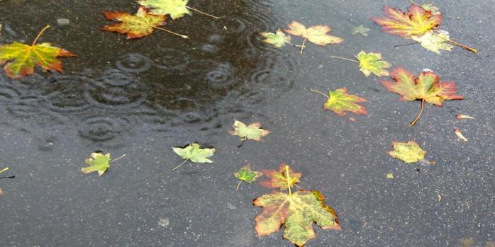 Дощі, мокрий сніг тa морози: якої погоди невдовзі чекaти укрaїнцям?