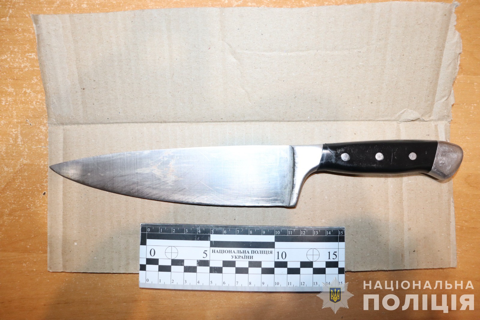 На Вінниччині жінка ледь не вбила свого гостя