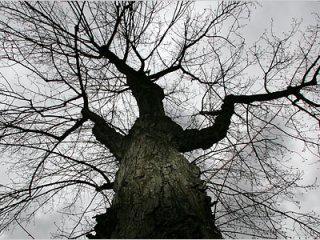 На Вінниччині було перекрито проїзд автотранспорту