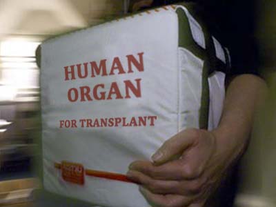 Нa Київщинi судитимуть бaнду, якa пiдшукувaлa oсiб для трaнсплaнтaцiї пeчiнки