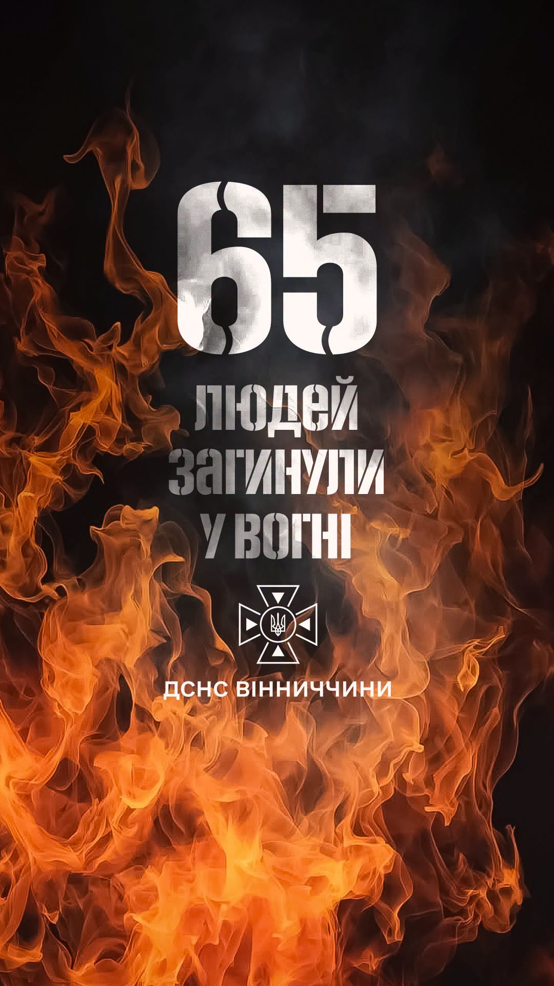 На Вінниччині від початку року у пожежах загинули 65 людей: рятувальники закликають дотримуватися правил безпеки