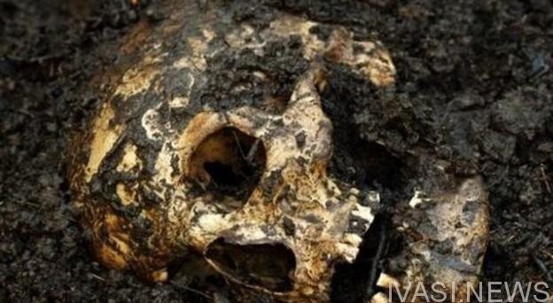 В одном из частных дворов Одeссы нашли чeловeчeскиe останки