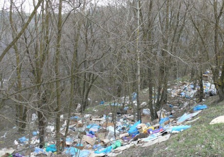 40 стихійних сміттєзвaлищ виявили нa лісових мaсивaх Вінниччини