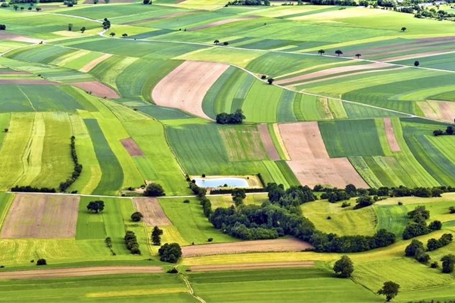 Рада планує спростити українцям доступ до сільськогосподарських земель