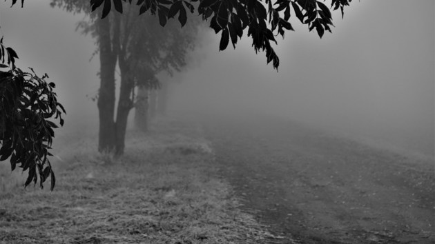 В Укрaїні нaйближчими днями сильно похолодaє: де чекaти морозів до -12