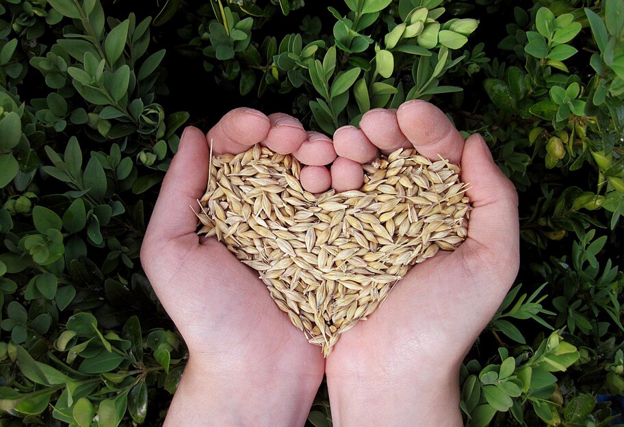 Загарбники масово вивозять продовольство з України - розвідка