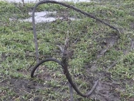 Гарантій "тиші" для ремонту ЛЕП в Авдіївці від російської сторони немає - П.Жебрівський.