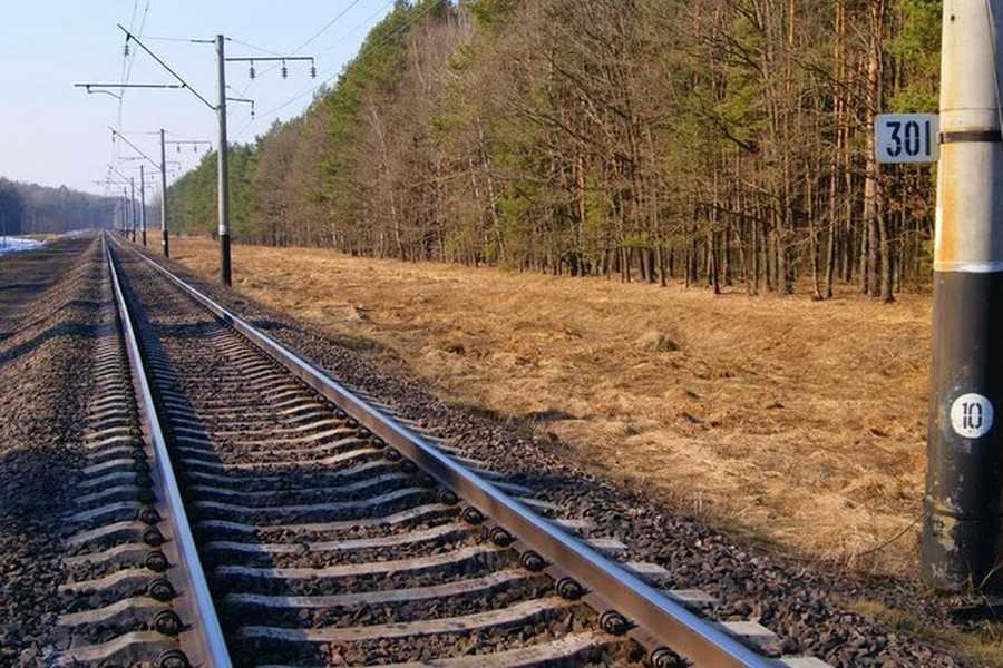 Літня жінка загинула під колесами потяга на Вінниччині