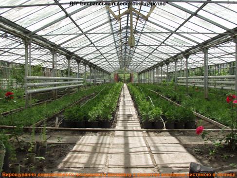 Вінницькі лісники вирощуватимуть сіянці в новій теплиці польського виробництва