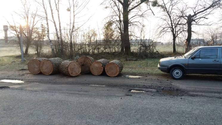 На Хмельниччині "чорних дроворубів" піймали на гарячому