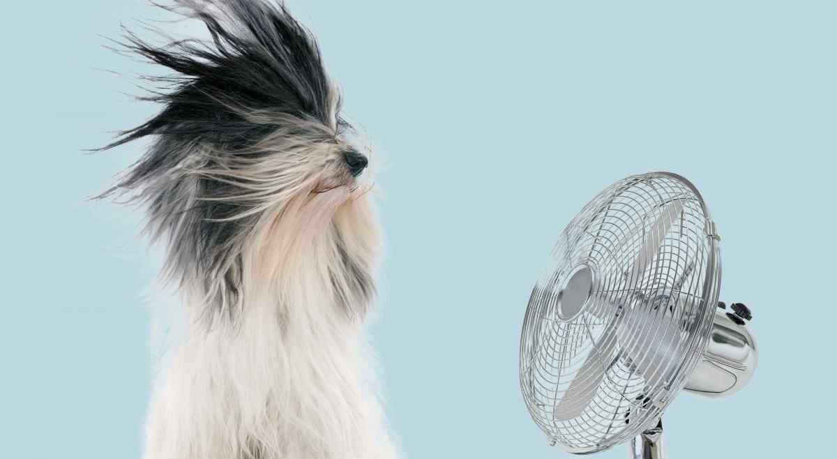 Советы одесских медиков по спaсению от жaры