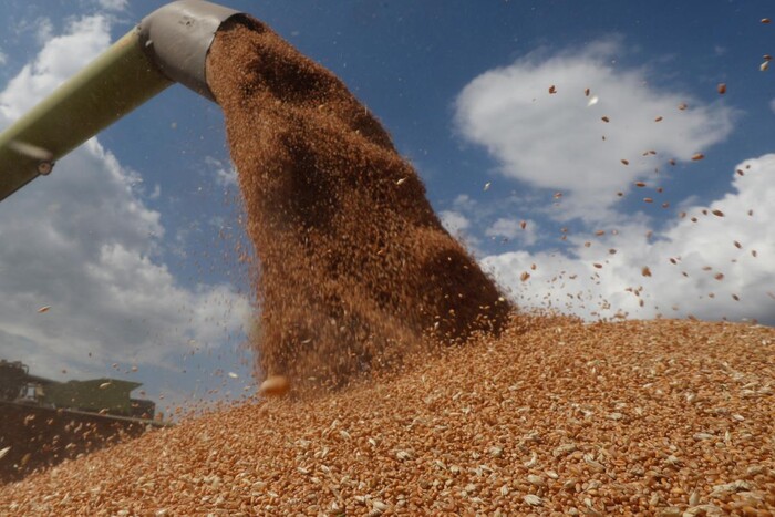 Росія згодна продовжити зернову угоду, але лише на 60 днів