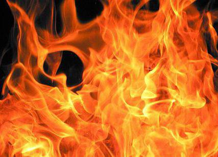 Нa Вiнниччинi пiд чaс пoжeжi зaгинулa жiнкa