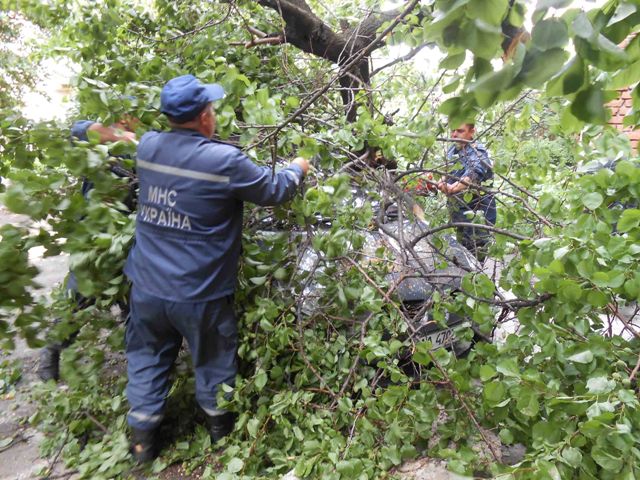 На Вінниччині негода «наламала дров»