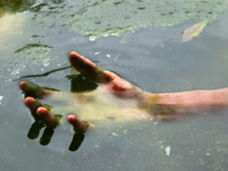 У ставку на Кіровоградщині знайшли тіло юнака