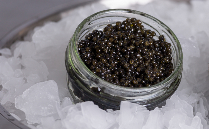 На Одещині викрили незаконний бізнес з продажу чорної ікри та червонокнижної риби