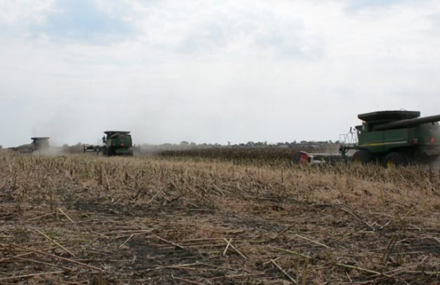 На Харківщині бандити намагались захопити врожай