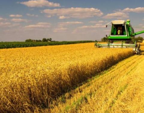 На Вінниччині розпочато обмолот сільськогосподарських культур