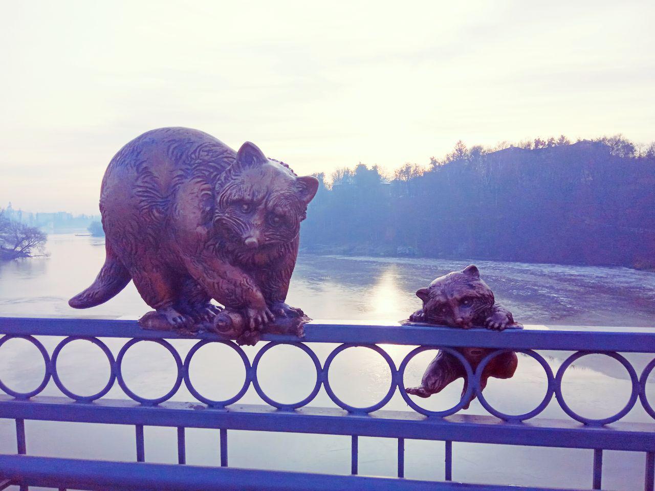 У Вінниці нa Київському мосту з’явилося двa єнотa