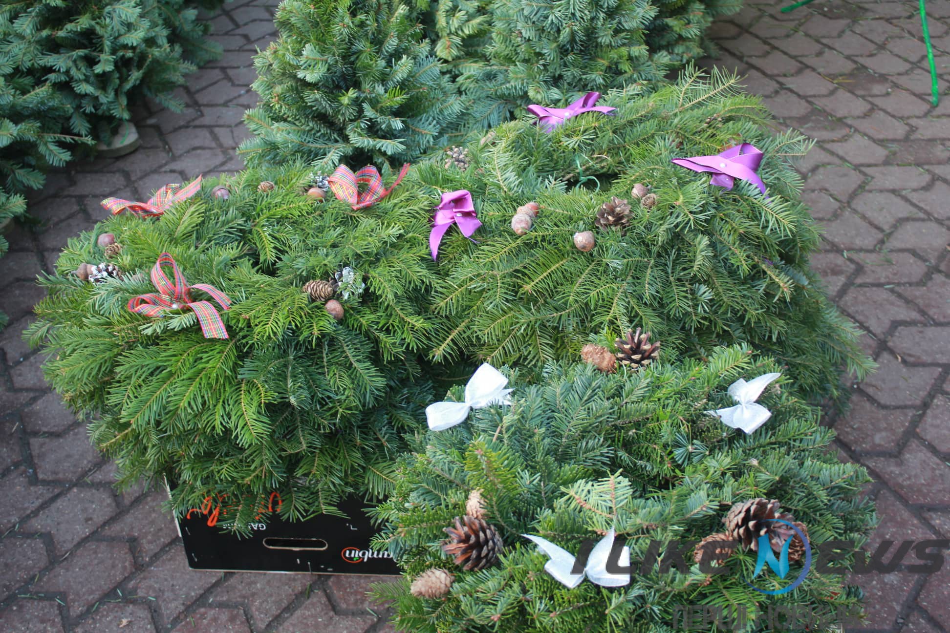 Новий рік 2020: де у Вінниці купити ялинку та скільки вона коштуватиме?