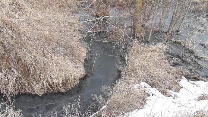 18 тисяч гривень штрафу виплатить житель Вінниччини