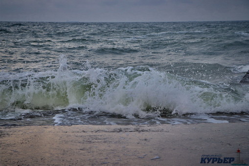 В Чёрном море регистрируют увеличение биорaзнообрaзия